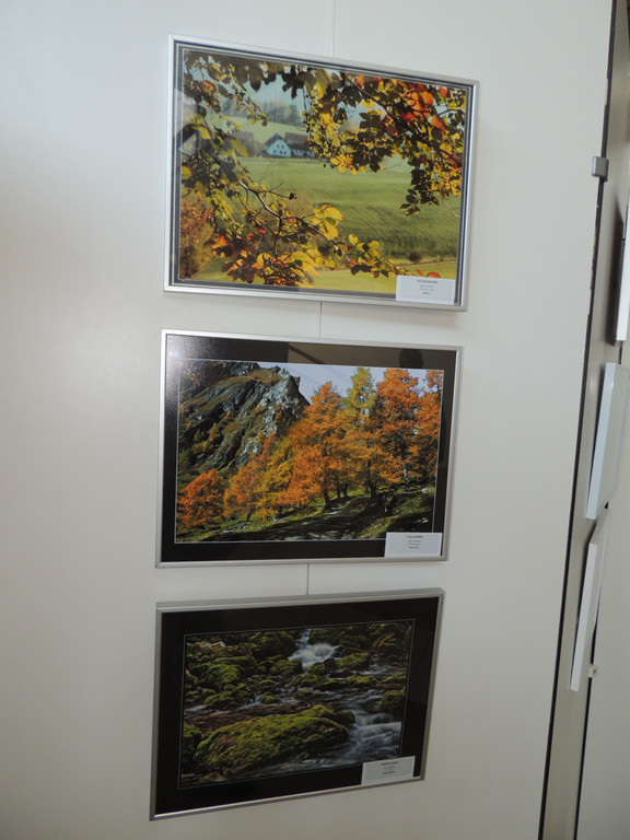 DSCN5656_JPG-1375651161