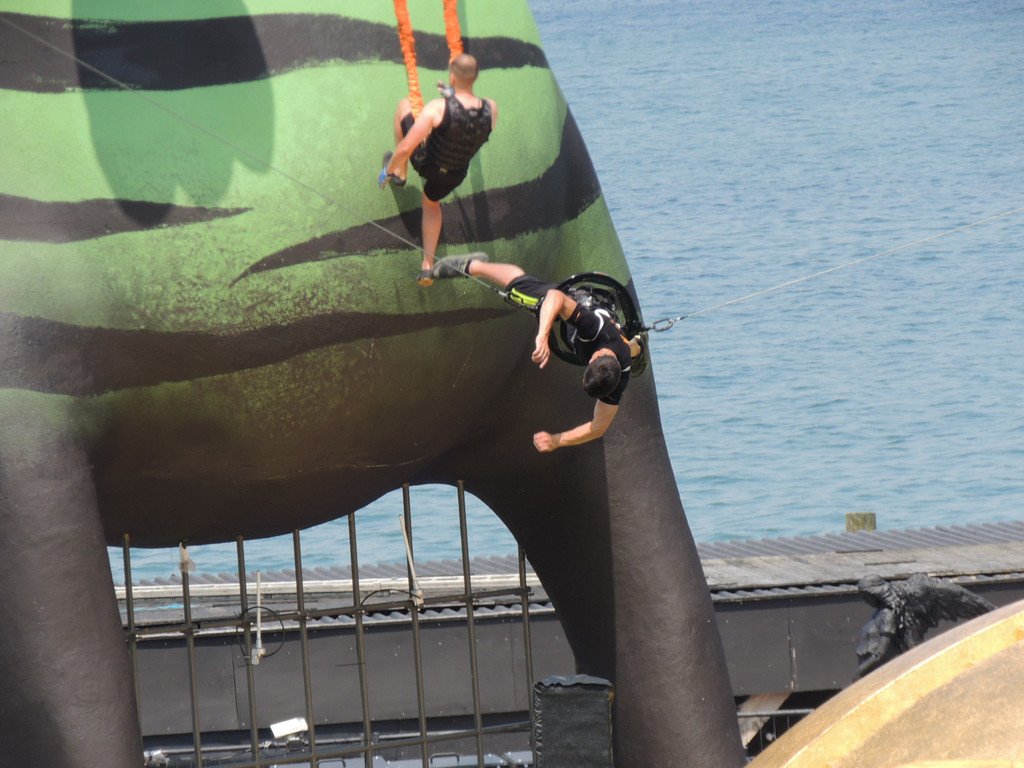 DSCN2179_JPG-1375651637