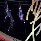 DSCN3537_JPG-1375651707