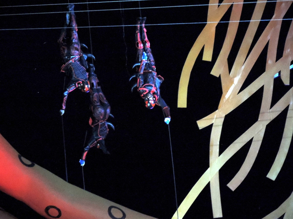 DSCN3537_JPG-1375651707