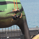 DSCN2176_JPG-1375651632