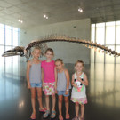 DSCN8763_JPG-1375654374