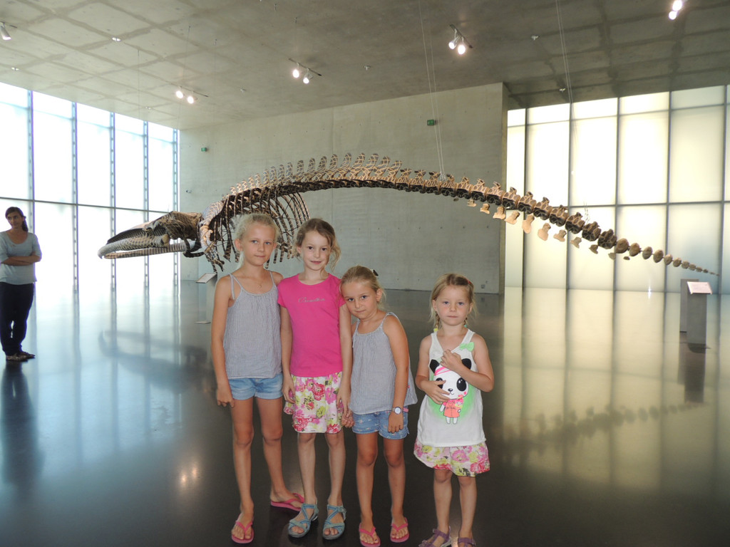 DSCN8763_JPG-1375654374