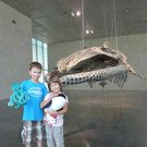 Kunstdrache_2_KW_30_jpg-1375654393