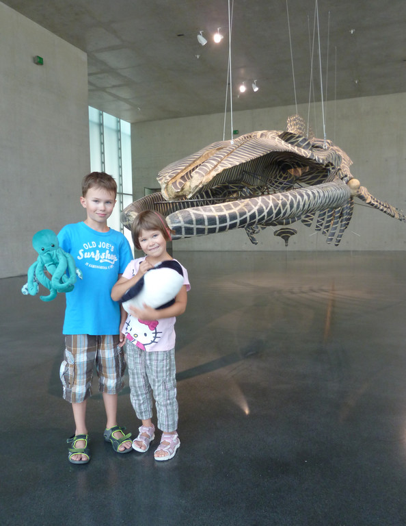 Kunstdrache_2_KW_30_jpg-1375654393