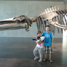 Kunstdrache_KW_30_jpg-1375654404