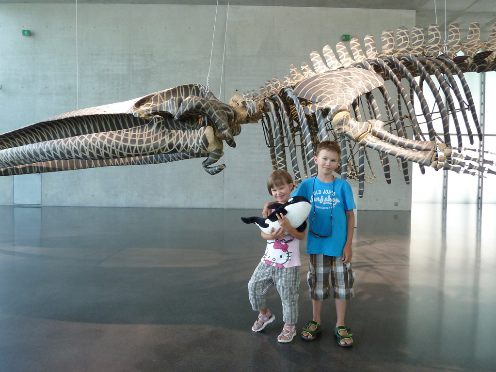 Kunstdrache_KW_30_jpg-1375654404