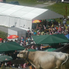 Alpe Laguz6- 2013.jpg