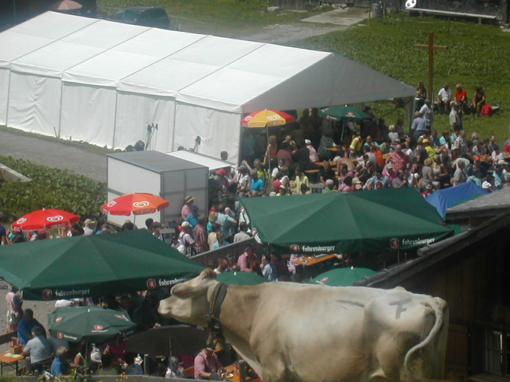 Alpe Laguz6- 2013.jpg