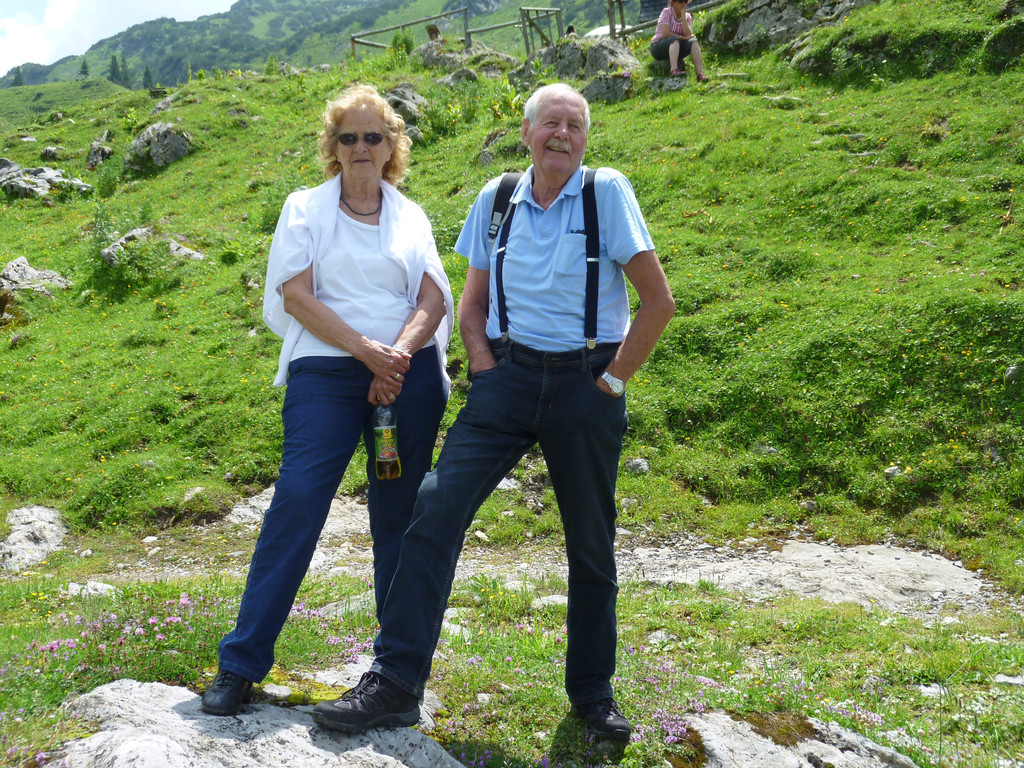 Alpe Laguz2.jpg