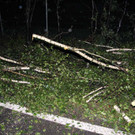 IMG_1124.JPG