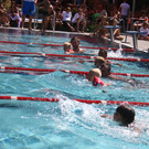 grilla_jpg 137_jpg-1375776736