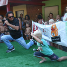 grilla_jpg 345_jpg-1375778130