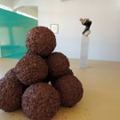 DSCN7799_JPG-1375791983