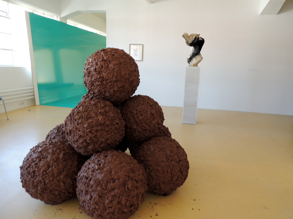 DSCN7799_JPG-1375791983