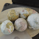 DSCN7807_JPG-1375792045