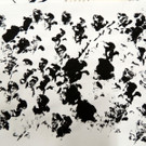 DSCN8777_JPG-1375793268