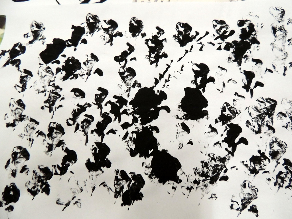 DSCN8777_JPG-1375793268