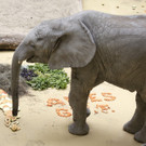 ABD0063-20130806.jpg