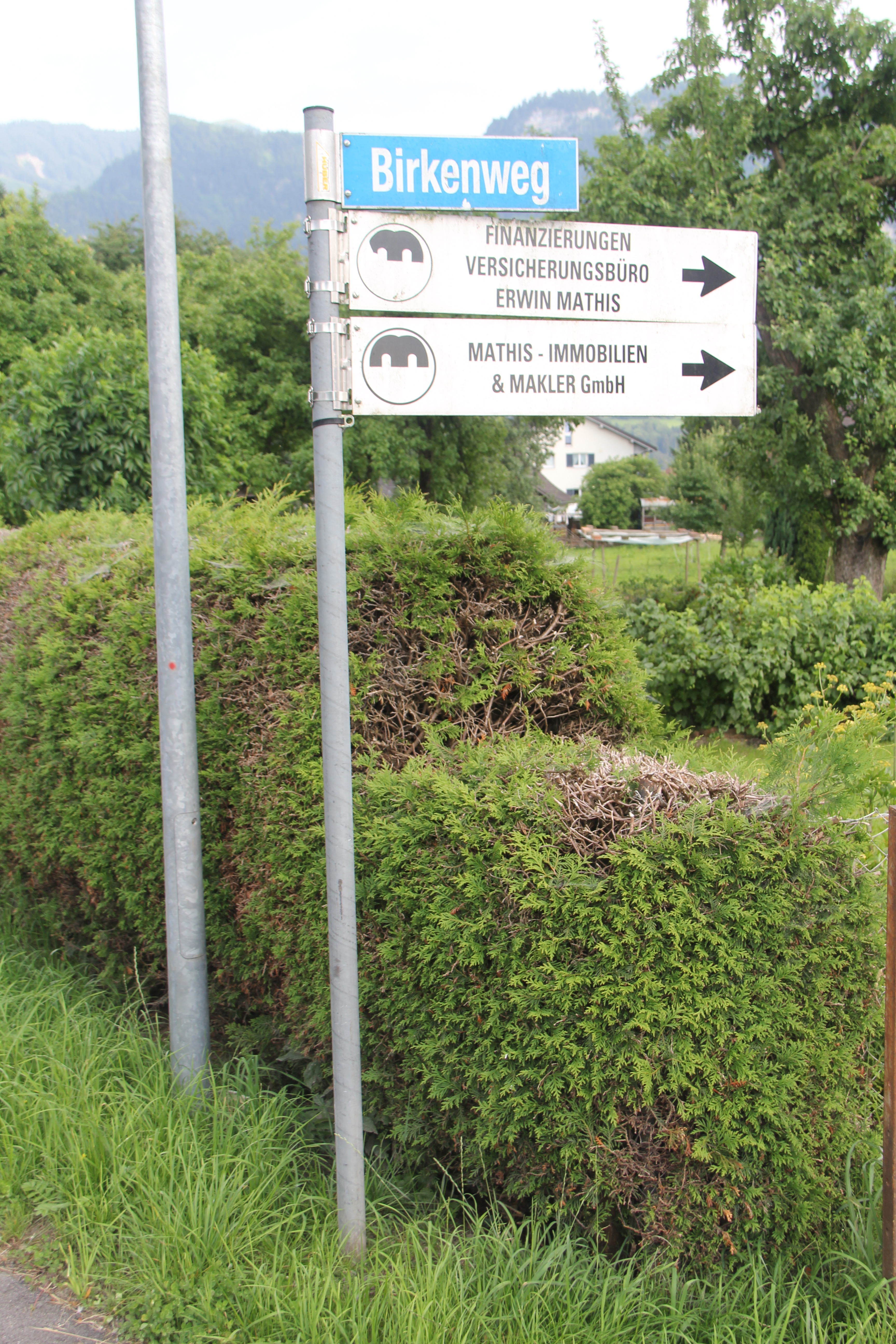 Birkenweg_1_jpg-1375814534