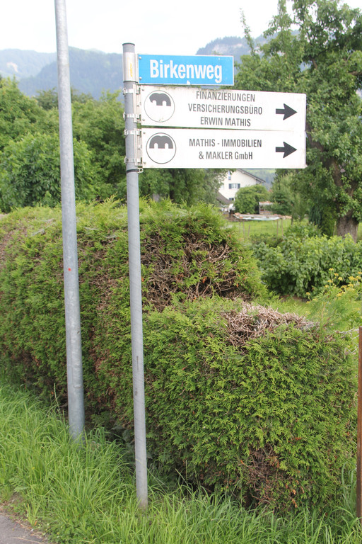 Birkenweg_1_jpg-1375814534