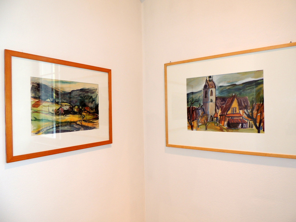 DSCN1673_JPG-1375817741