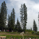 139 Kopie_jpg-1375883467