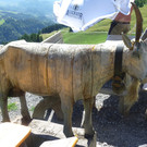 Alpe Almein6.jpg