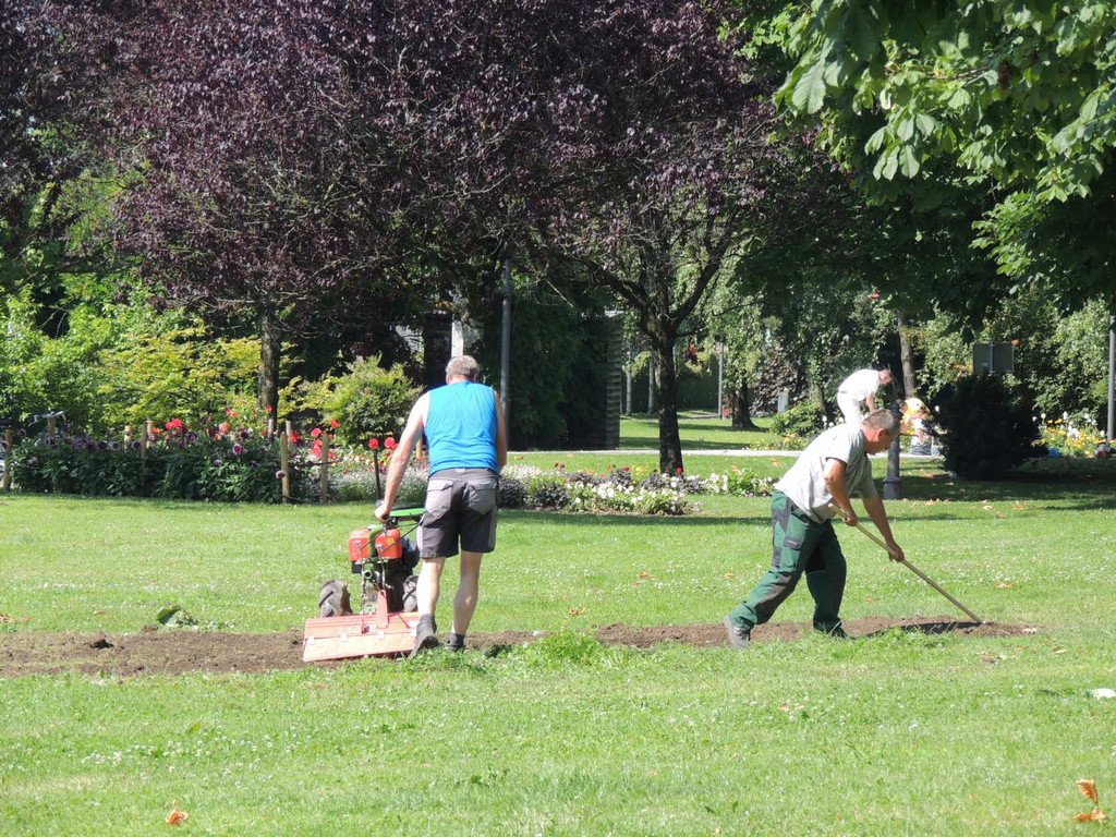 DSCN5235_JPG-1375901174