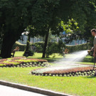 DSCN5293_JPG-1375901217