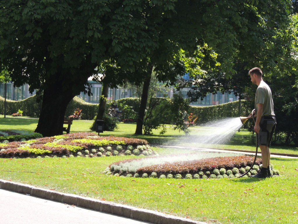 DSCN5293_JPG-1375901217