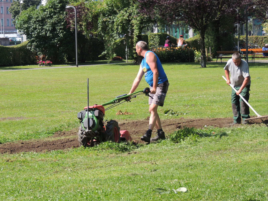 DSCN5239_JPG-1375901184