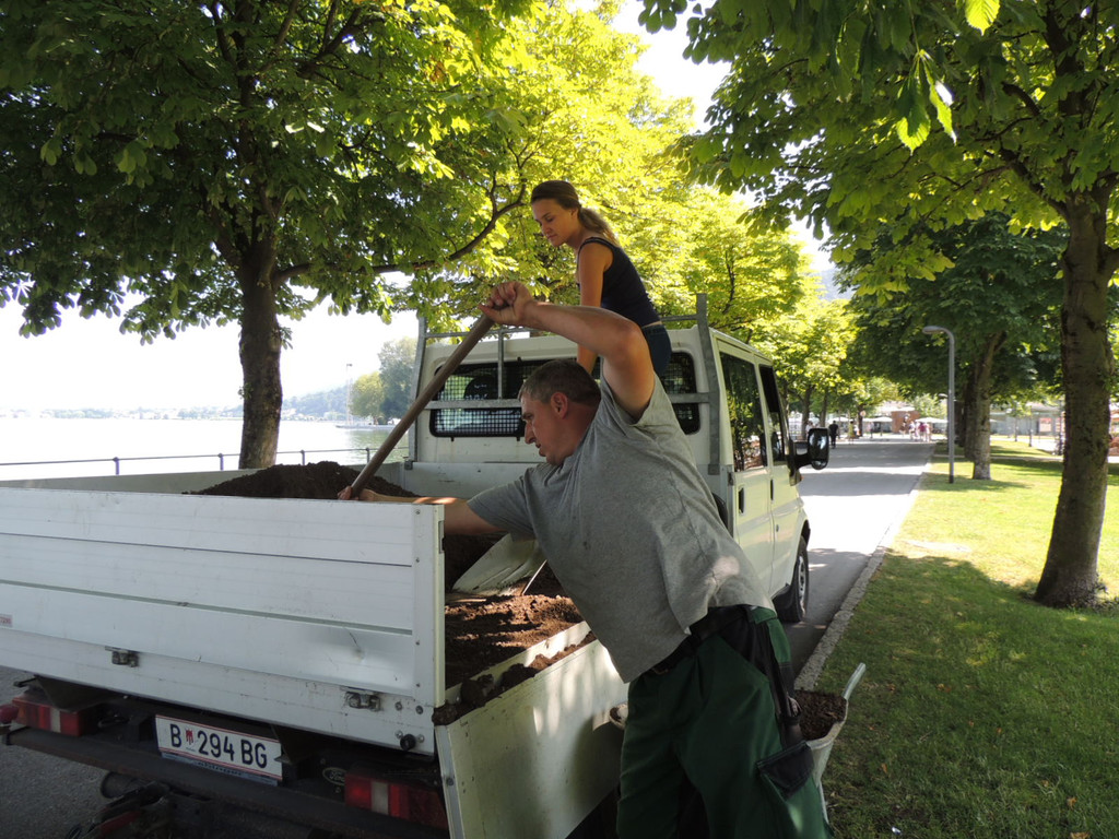 DSCN5244_JPG-1375901195