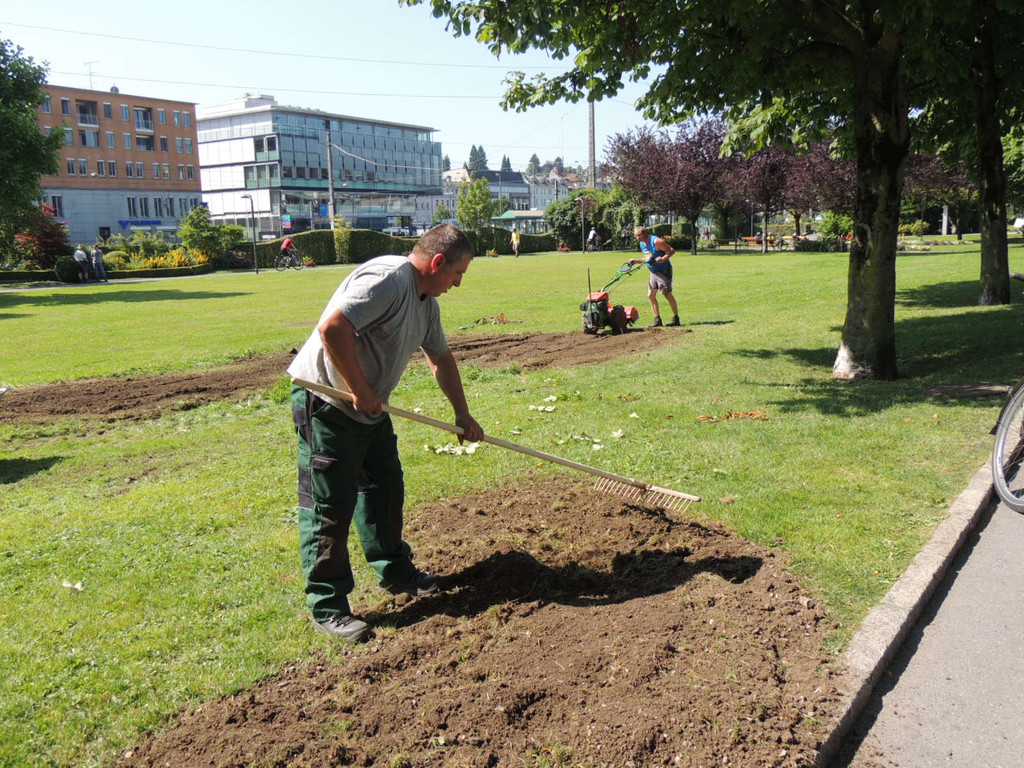 DSCN5246_JPG-1375901200