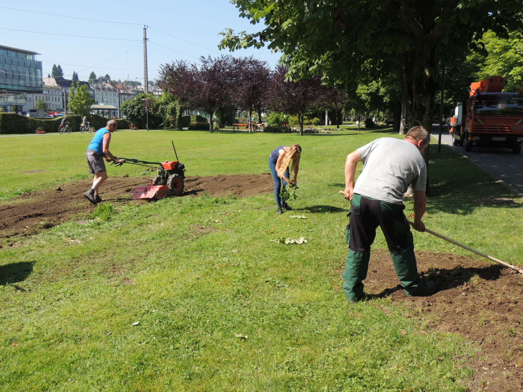 DSCN5248_JPG-1375901205