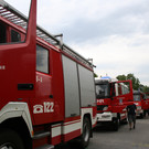 grilla_jpg 162_jpg-1375910050