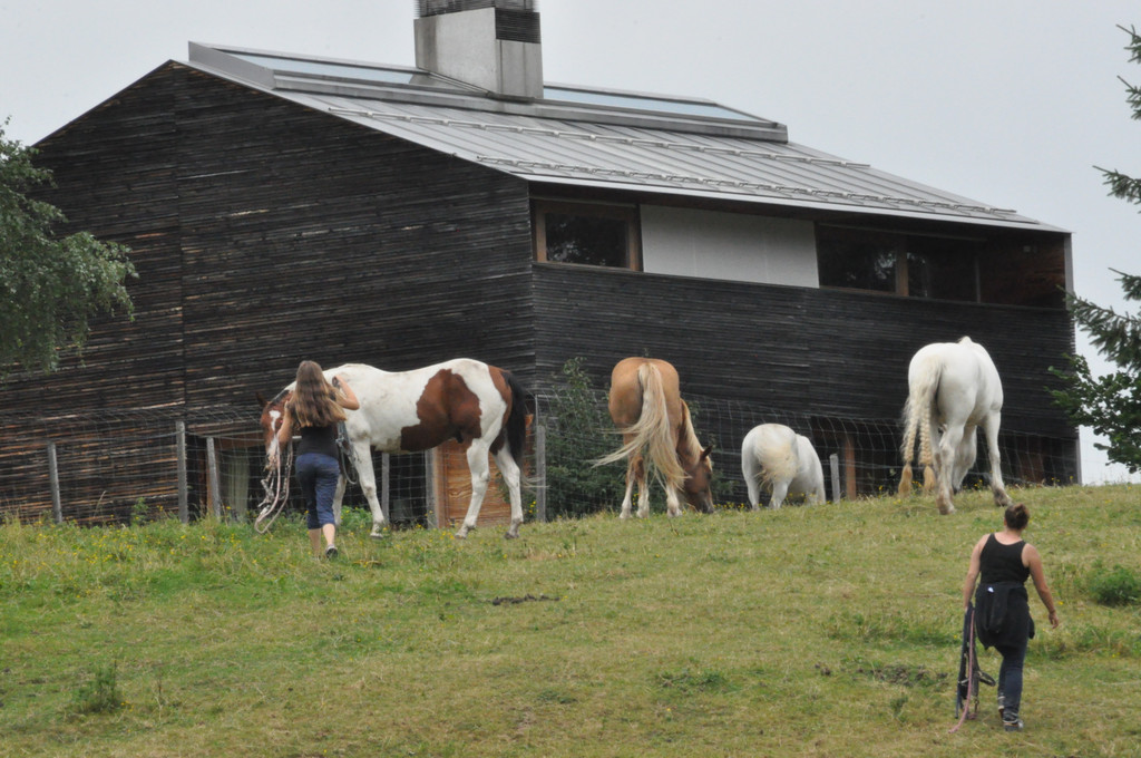 DSC_0008_JPG-1375911517