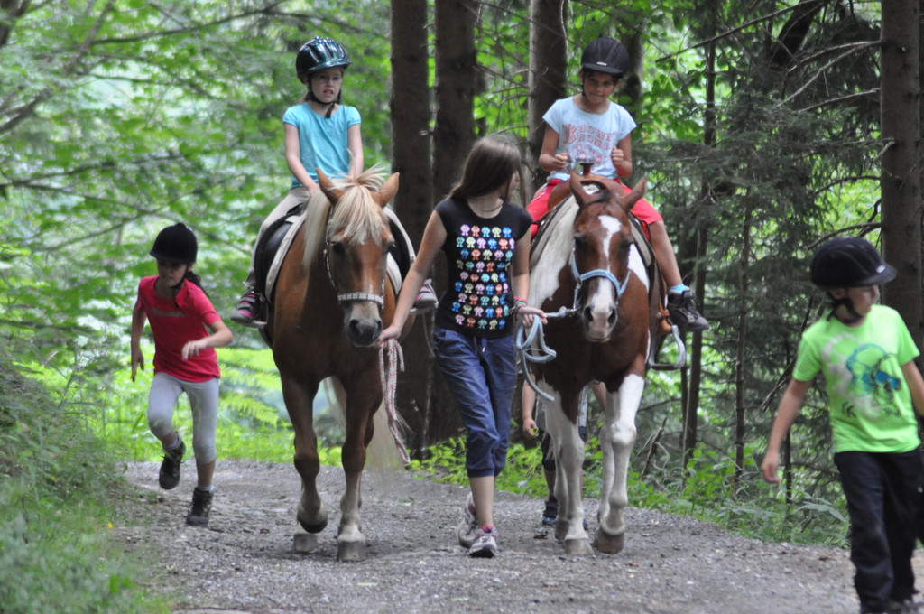 DSC_0050_JPG-1375911656