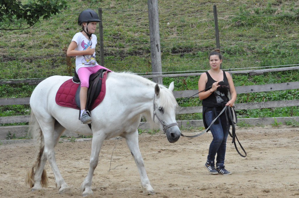 DSC_0060_JPG-1375911703