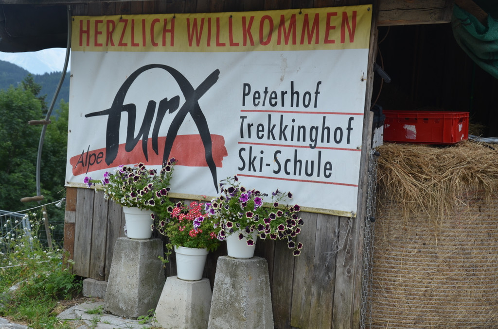 DSC_4457_JPG-1375911792