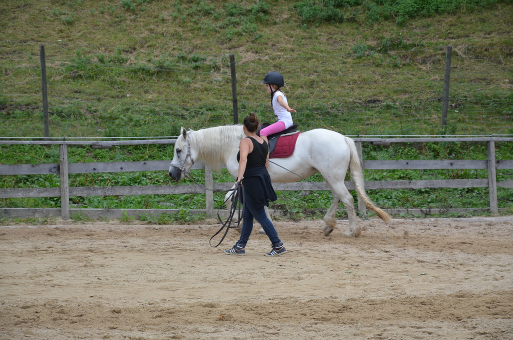DSC_4591_JPG-1375912549