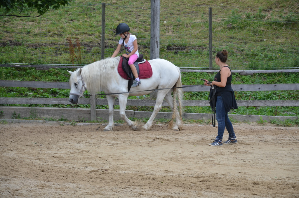 DSC_4599_JPG-1375912663