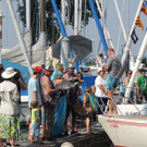 DSCN7046_JPG-1375914284