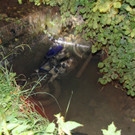 IMG_6490.jpg
