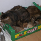 b8.jpg