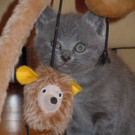 Baby3.jpg