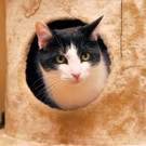 Rocky8.JPG