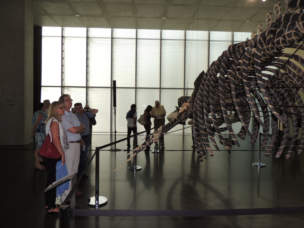 DSCN2561_JPG-1375971414