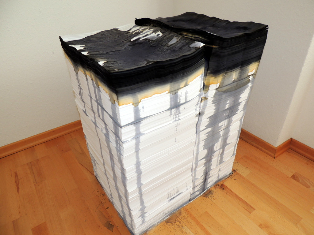 DSCN7826_JPG-1375974311