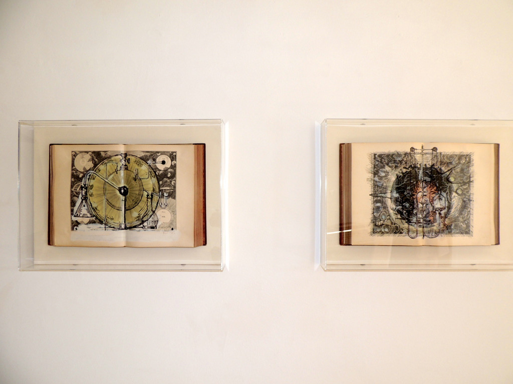 DSCN7830_JPG-1375974323